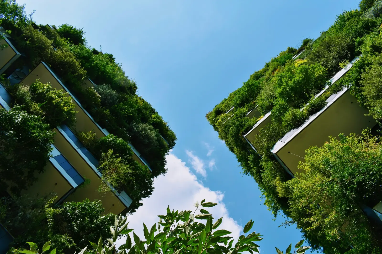 Bright hospital atrium with living green wall